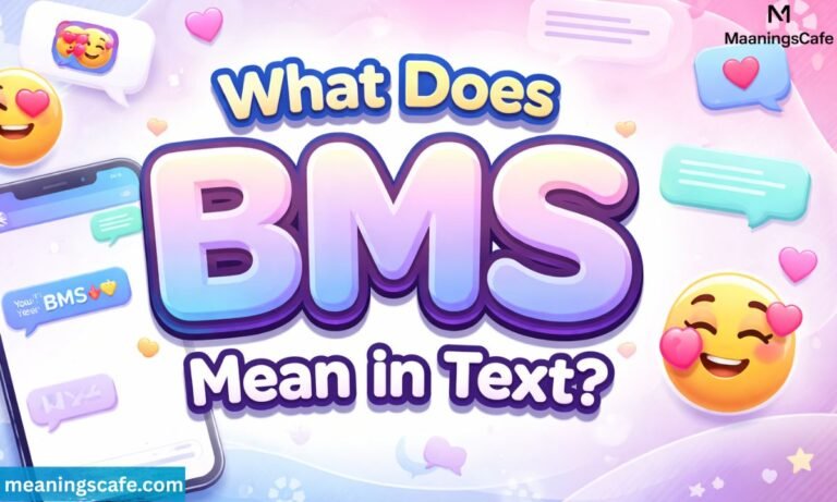 what-does-bms-mean-in-text (1)
