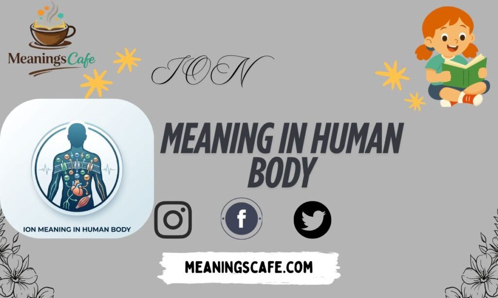 ion-meaning-in-human-body