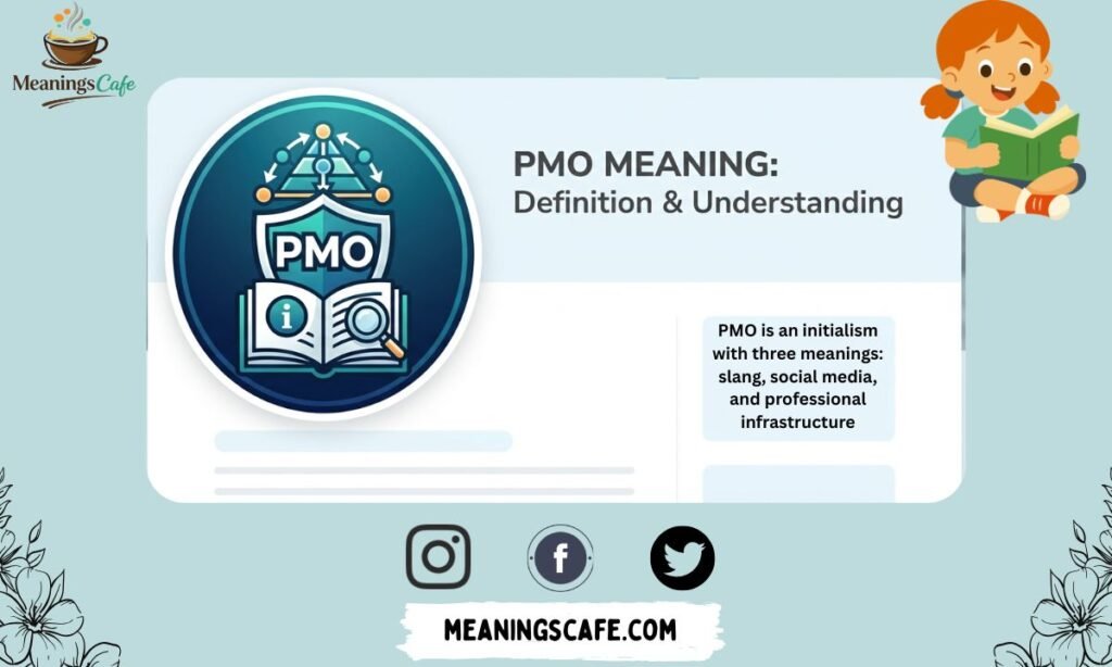 pmo-meaning