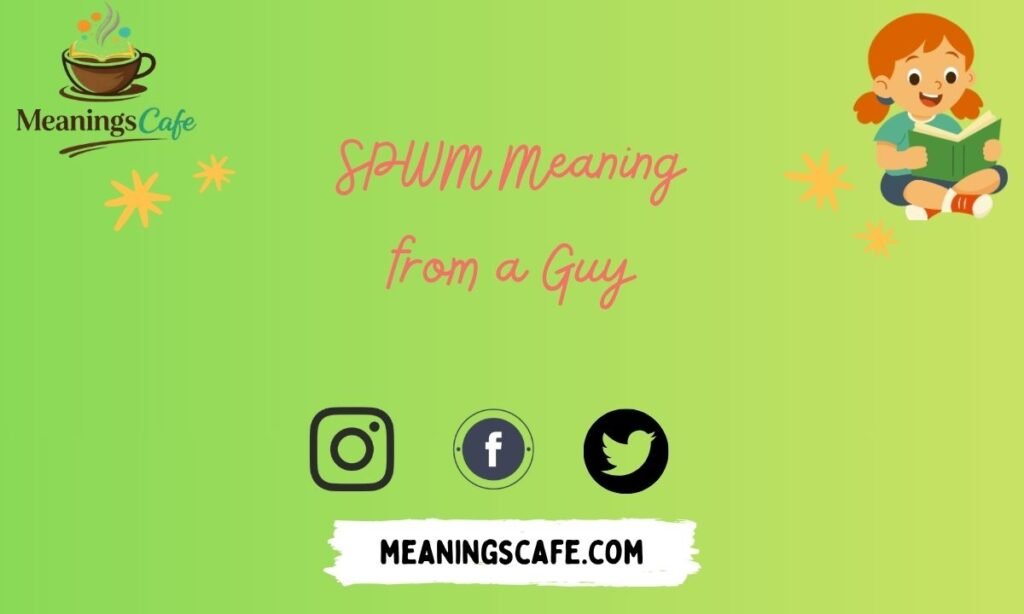 spwm-meaning-from-a-guy