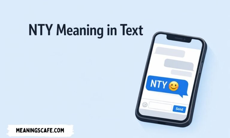 NTY meaning in text explained with chat example and simple definition