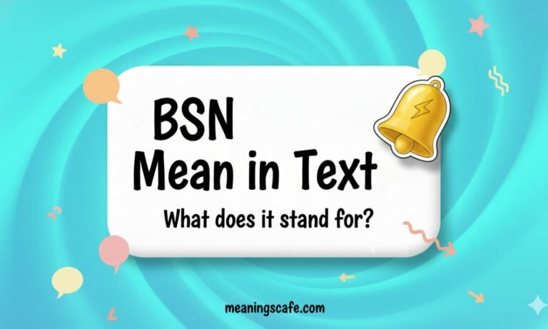 bsn-mean-in-text