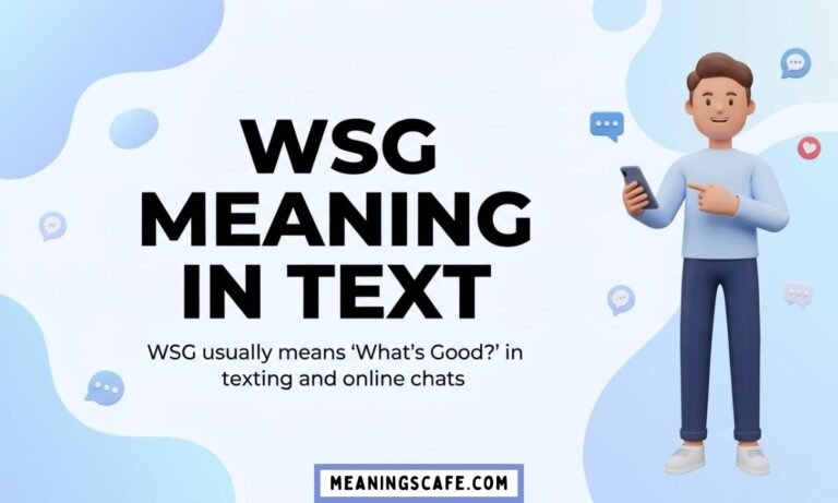 WSG meaning in text explained